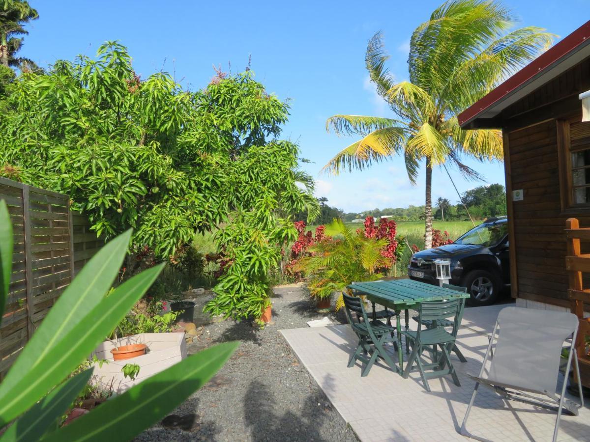Bungalow Des Paletuviers Morne-a-l'Eau Exterior foto