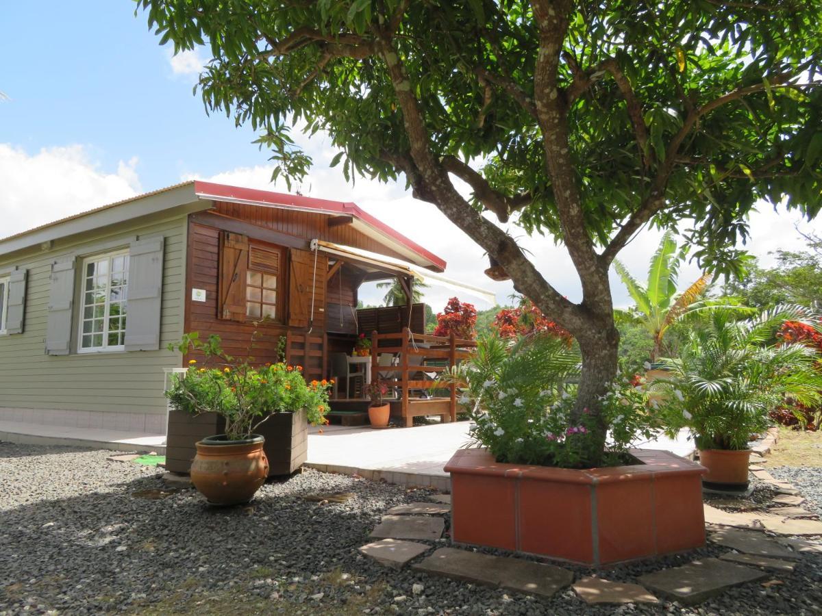 Bungalow Des Paletuviers Morne-a-l'Eau Exterior foto